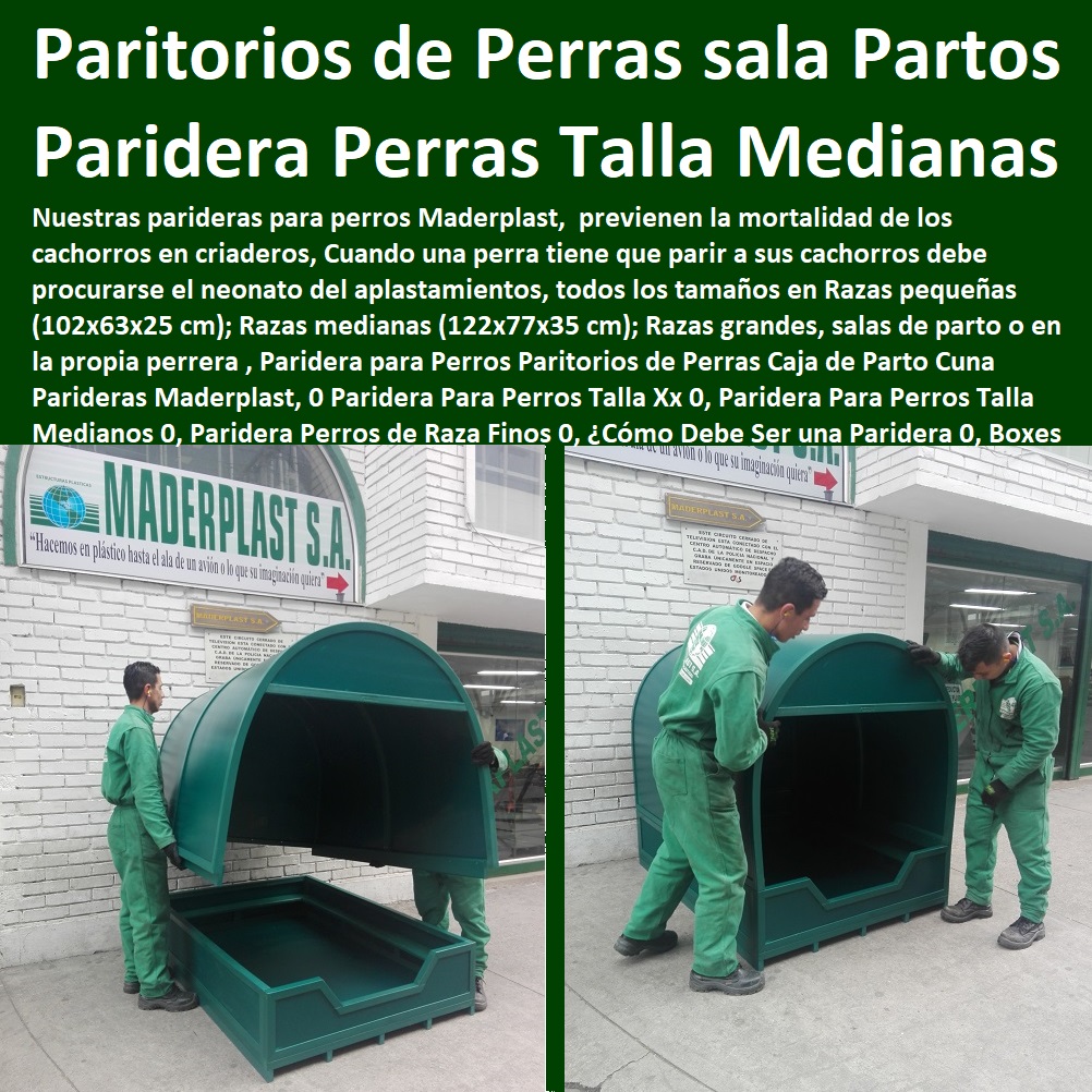 , Paridera para Perros Paritorios de Perras Caja de Parto Cuna Parideras Maderplast, 0 Casas Para Perros Y Mascotas, Agility De Perros, Pistas De Adiestramiento, Caninos Para Perros, Equipo De Agility Para Perros, Cunas Y Parideras Para Perros, Parques Para Perros, Corrales Para Perros, Jaulas cuidado de perros, Paridera Para Perros Talla Xx 0, Paridera Para Perros Talla Medianos 0, Paridera Perros de Raza Finos 0, ¿Cómo Debe Ser una Paridera 0, Boxes PP , Paridera para Perros Paritorios de Perras Caja de Parto Cuna Parideras Maderplast, 0 Paridera Para Perros Talla Xx 0, Paridera Para Perros Talla Medianos 0, Paridera Perros de Raza Finos 0, ¿Cómo Debe Ser una Paridera 0, Boxes PP